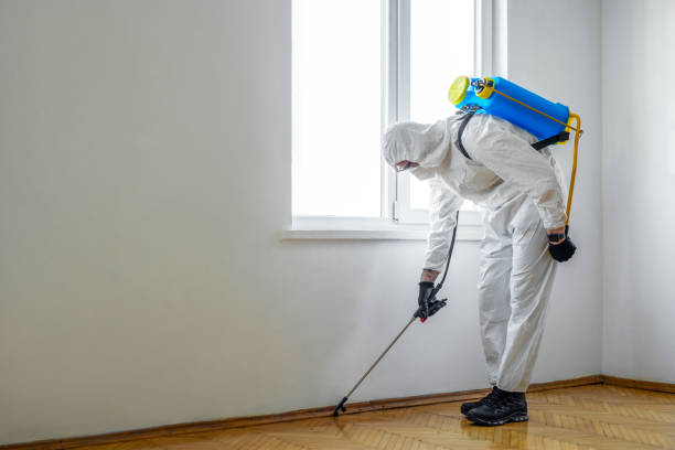 Best Residential Pest Control  in Fennville, MI