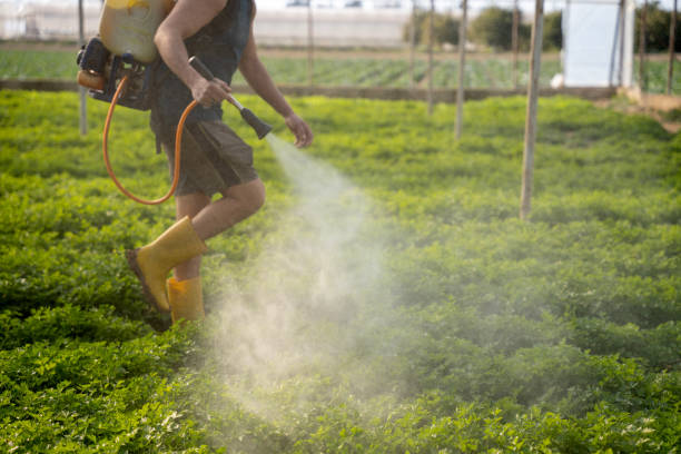 Best Commercial Pest Control Services  in Fennville, MI
