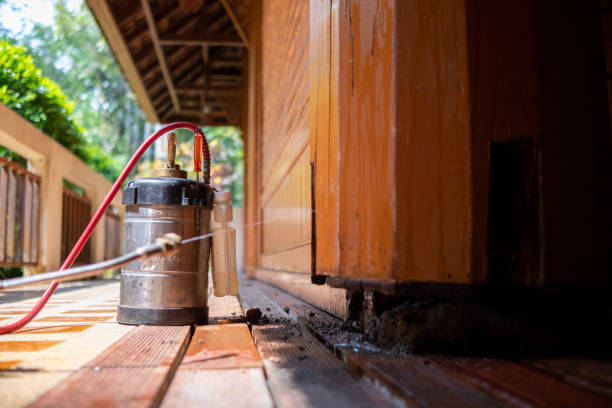 Best Exterminator Services  in Fennville, MI