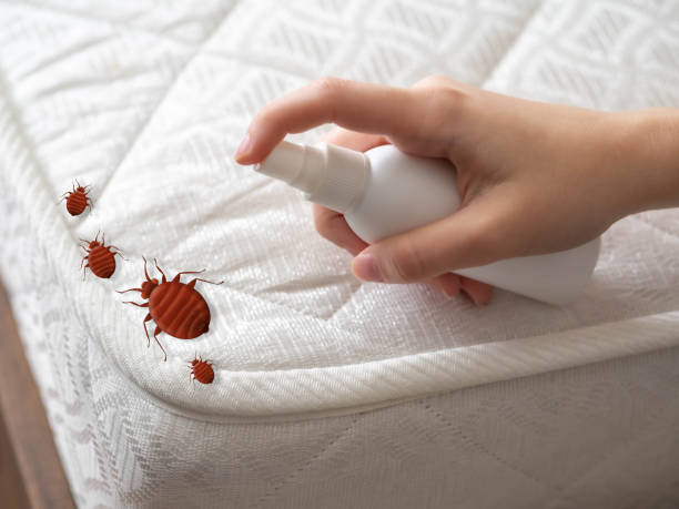Best Pest Control for Homes  in Fennville, MI