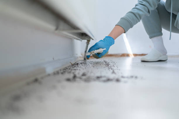 Best Wildlife Control Services  in Fennville, MI