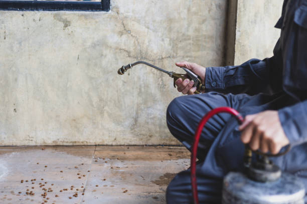 Best Mosquito Control Services  in Fennville, MI